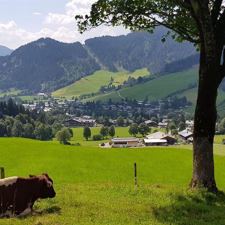 Haus Sonnleiten Maria Alm am Steinernen Meer Eksteriør billede
