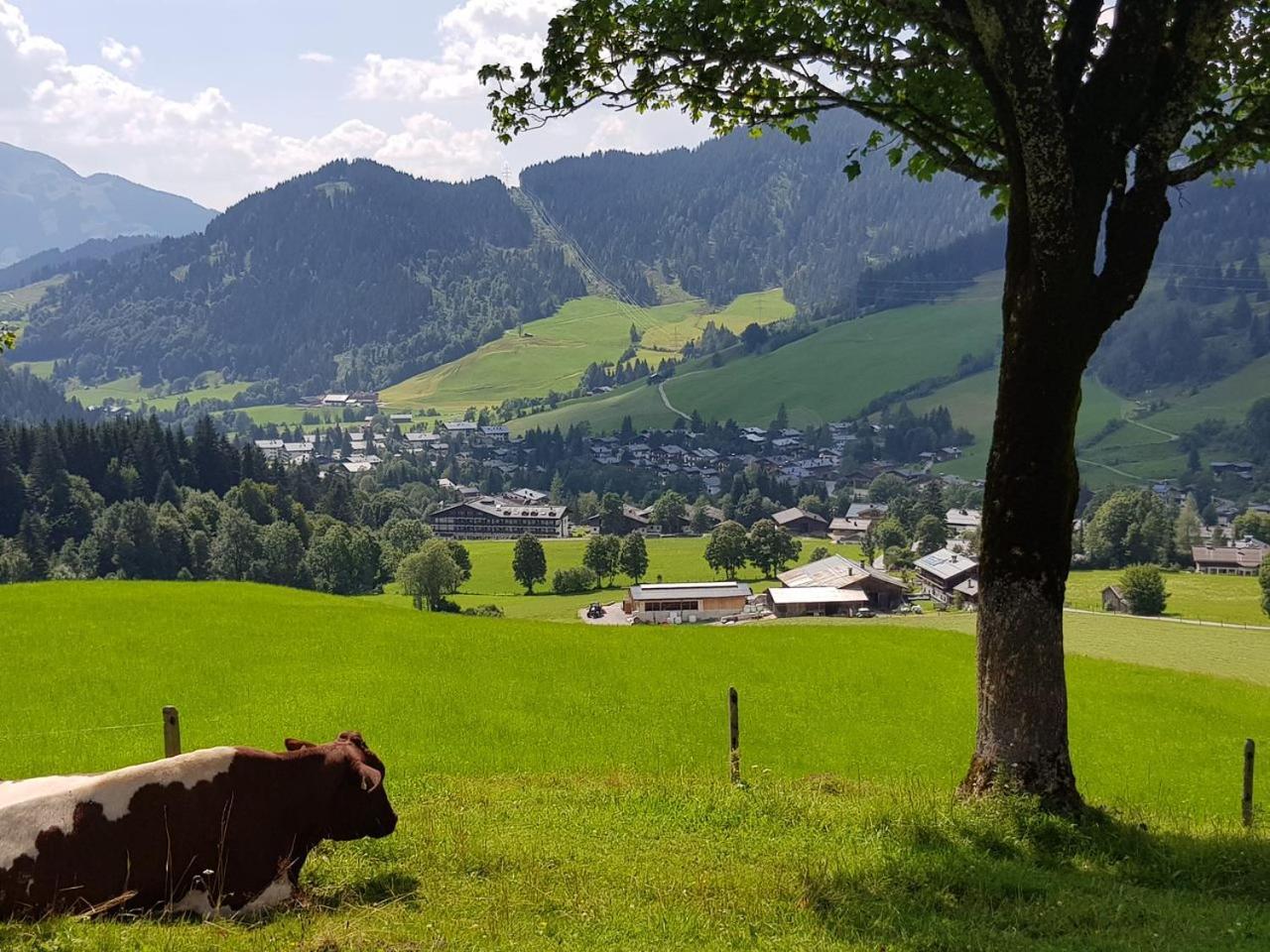 Haus Sonnleiten Maria Alm am Steinernen Meer Eksteriør billede